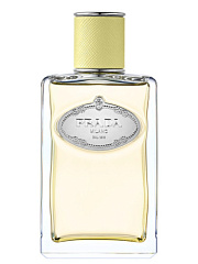 Prada - Infusion de Gingembre