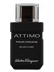 Salvatore Ferragamo - Attimo Black Musk Pour Homme