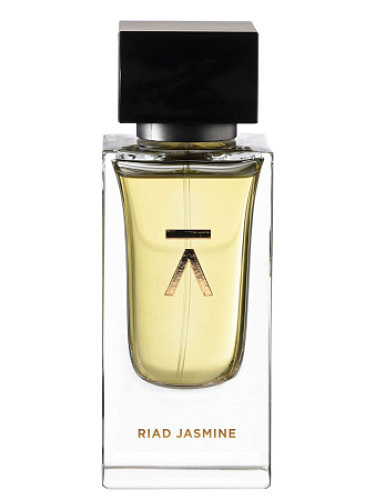 Azman - Riad Jasmine