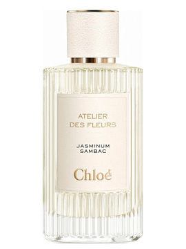 Chloe - Atelier Des Fleurs Jasminum Sambac