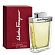Salvatore Ferragamo pour Homme (Туалетная вода 100 мл)