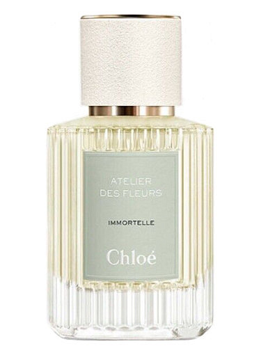 Chloe - Atelier Des Fleurs Immortelle