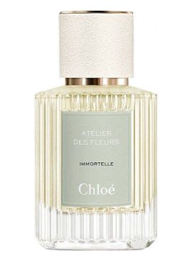 Chloe - Atelier Des Fleurs Immortelle