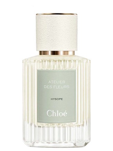 Chloe - Atelier Des Fleurs Hysope