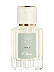 Chloe - Atelier Des Fleurs Hysope