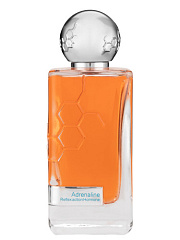 Hormone Paris - This Is Not Adrenaline