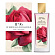 Rose Patchouli (Парфюмерная вода 100 мл)